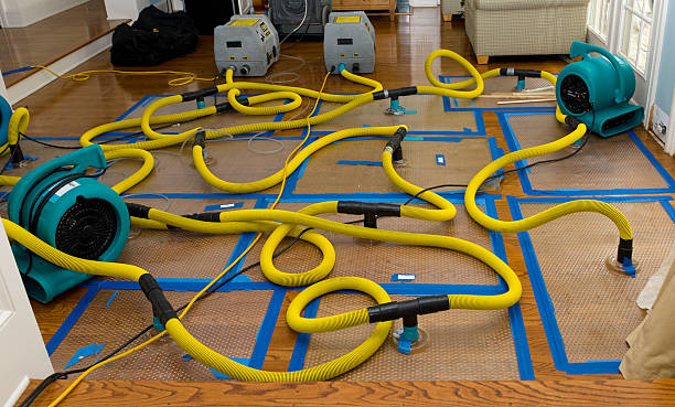 Professional Burst Pipe Water Damage technician working in North Hollywood, CA